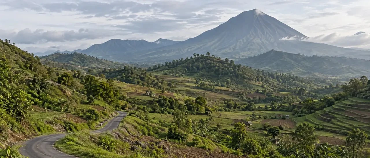 Paysage volcanique de Flores avec le volcan Inerie et des cultures en terrasses